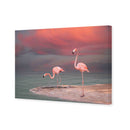 Pink Flamingos