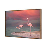 Pink Flamingos