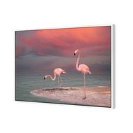 Pink Flamingos