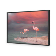 Pink Flamingos