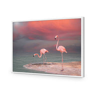 Pink Flamingos
