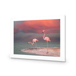 Pink Flamingos