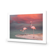 Pink Flamingos