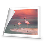 Pink Flamingos