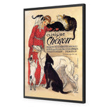 Steinlen's Vet Clinic