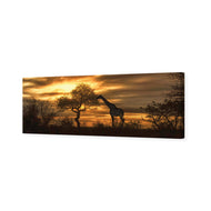 Giraffe at Sunset