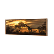 Giraffe at Sunset