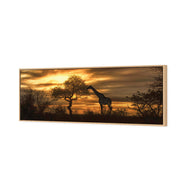 Giraffe at Sunset