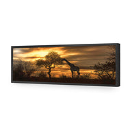 Giraffe at Sunset