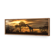 Giraffe at Sunset