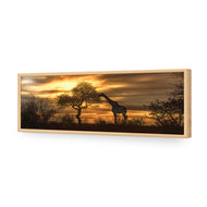 Giraffe at Sunset