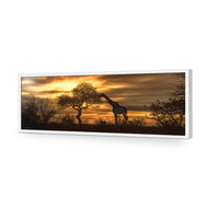 Giraffe at Sunset