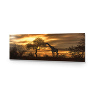 Giraffe at Sunset