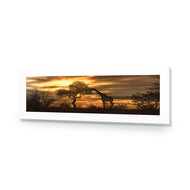 Giraffe at Sunset
