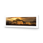 Giraffe at Sunset