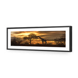 Giraffe at Sunset