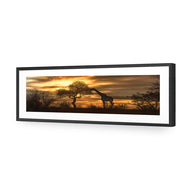 Giraffe at Sunset