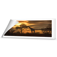 Giraffe at Sunset