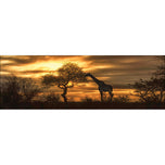 Giraffe at Sunset