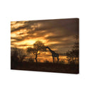 Giraffe at Sunset