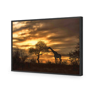 Giraffe at Sunset