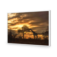 Giraffe at Sunset