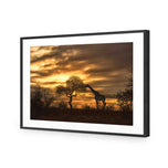 Giraffe at Sunset