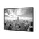 Manhattan View BW