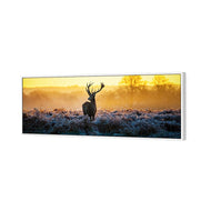 Red Deer at Dawn