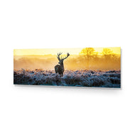 Red Deer at Dawn