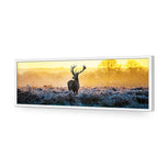 Red Deer at Dawn