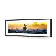 Red Deer at Dawn