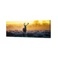 Red Deer at Dawn