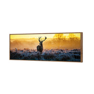 Red Deer at Dawn