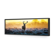 Red Deer at Dawn