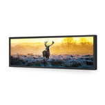 Red Deer at Dawn