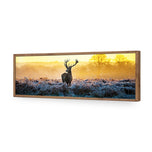Red Deer at Dawn