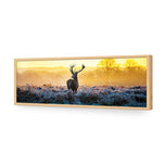 Red Deer at Dawn