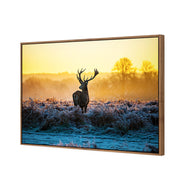 Red Deer at Dawn