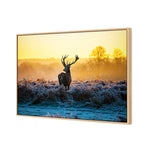 Red Deer at Dawn