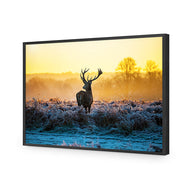 Red Deer at Dawn