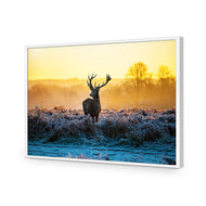 Red Deer at Dawn