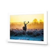 Red Deer at Dawn