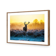 Red Deer at Dawn