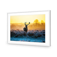 Red Deer at Dawn