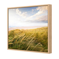 Waving Dunes