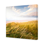 Waving Dunes