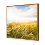 Waving Dunes