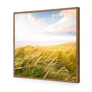 Waving Dunes