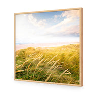 Waving Dunes